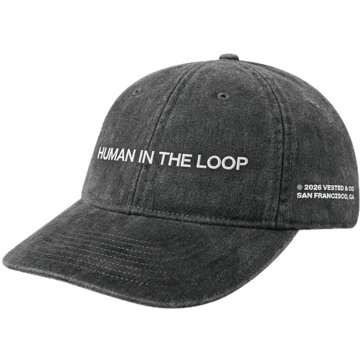 HUMAN IN THE LOOP cap, Heather Gray